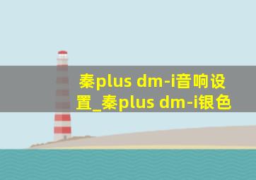 秦plus dm-i音响设置_秦plus dm-i银色